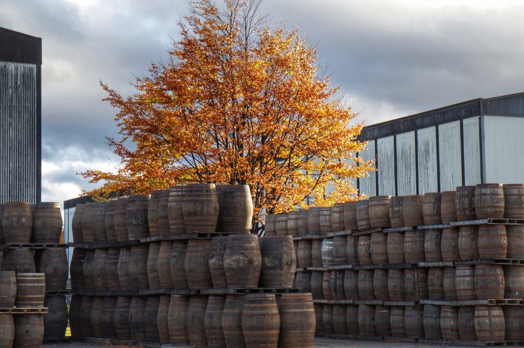 Casks, hogheads, barrels all waiting to be filled