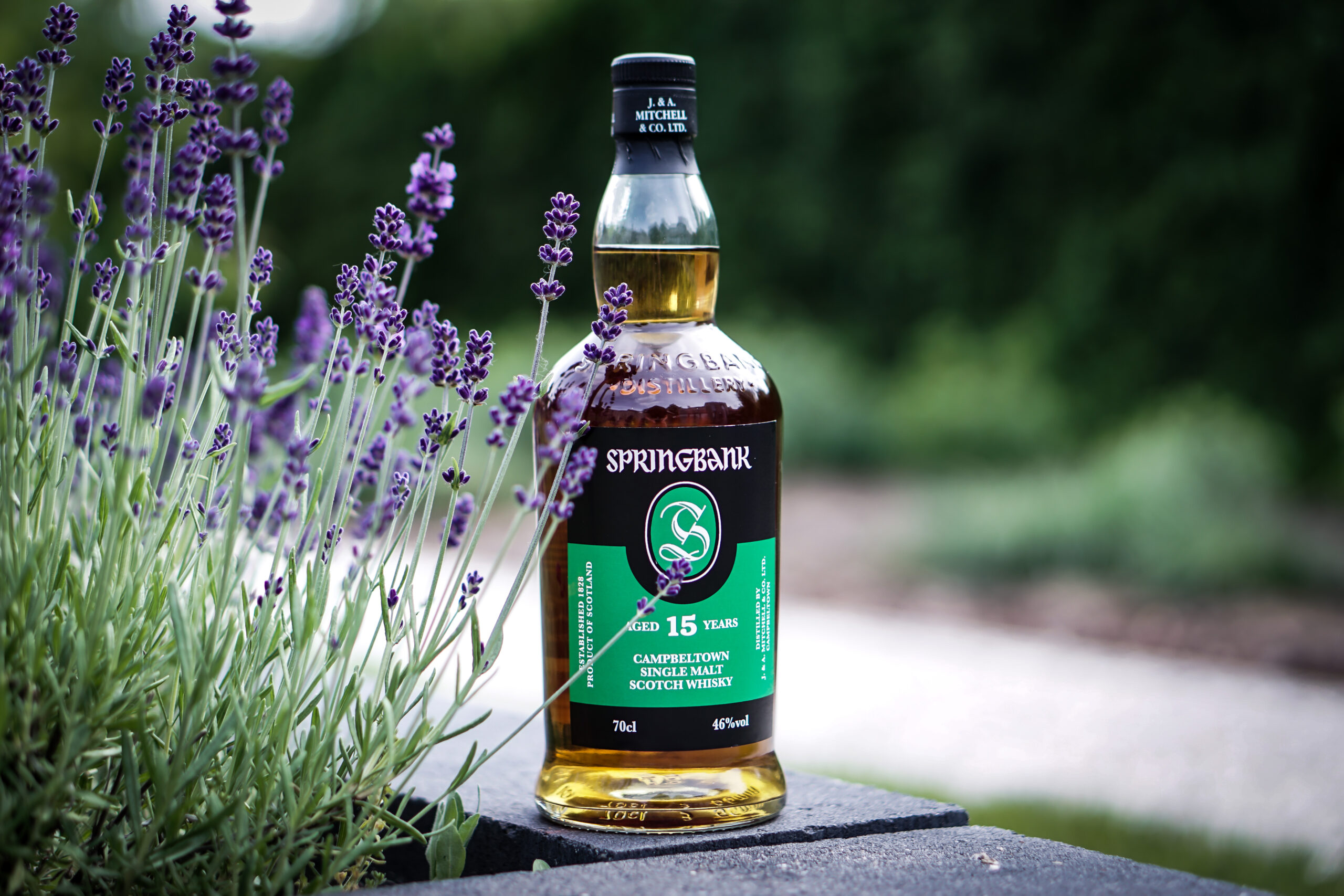 Springbank 15 year old